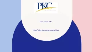 ERP Consultant - PKC Management Consulting