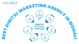 Best Digital Marketing Agency in Mohali