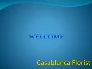 casablanca florist