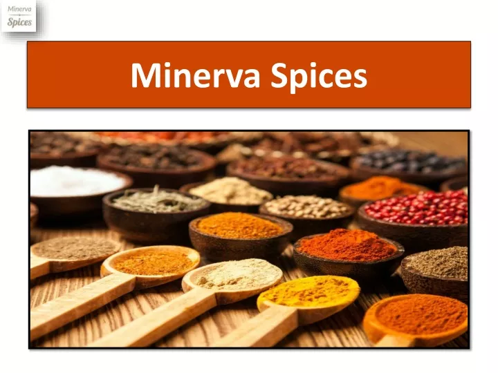 minerva spices