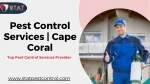 Pest Control Services - slide 1