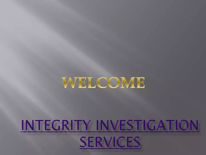 integrity investigation services