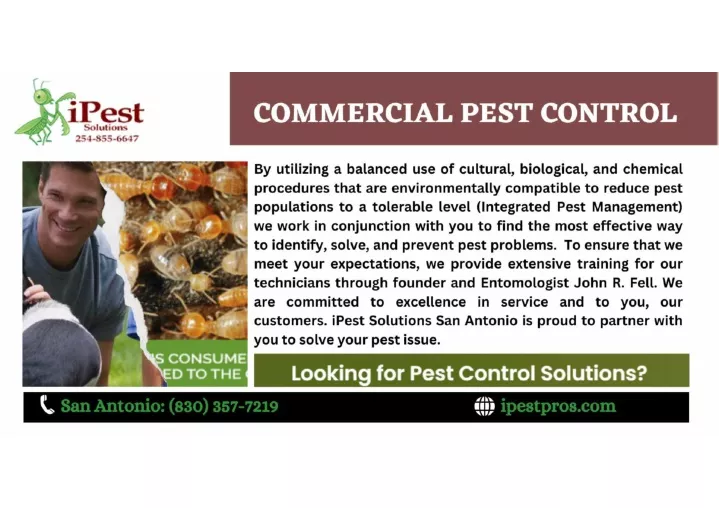 PPT - COMMERCIAL PEST CONTROL PowerPoint Presentation, Free Download ...