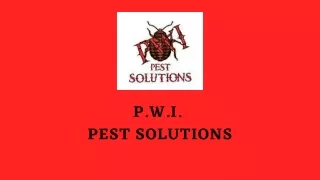 Effective Pest Control Solutions in Yarmouth Maine