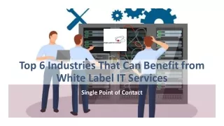 Top 6 Industries That Can Benefit from White Label IT Services