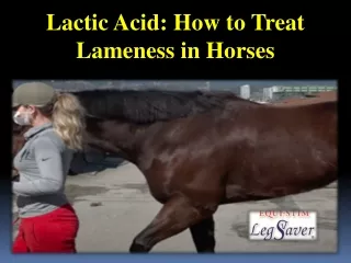 Lactic Acid - How to Treat Lameness in Horses