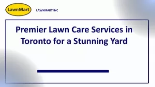 Premier Lawn Care Services in Toronto for a Stunning Yard