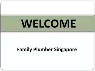 Get the Best Plumber in Clementi