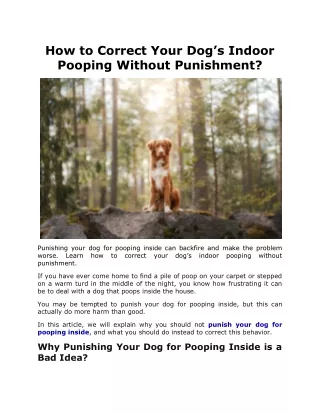 How to Correct Your Dog’s Indoor Pooping Without Punishment