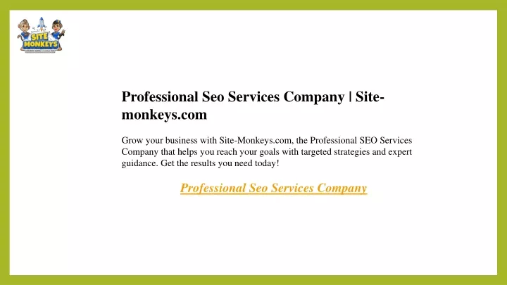 professional seo services company site monkeys