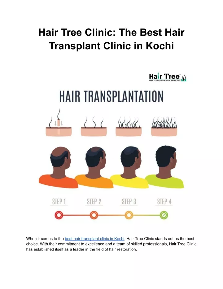 hair tree clinic the best hair transplant clinic