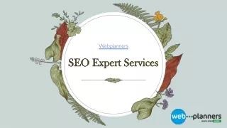 SEO Expert Services - Webplanners
