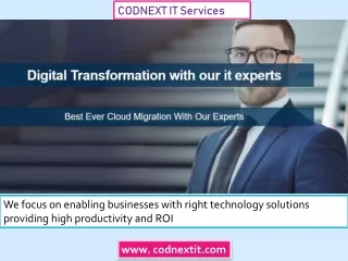 CODNEXT IT Services - it services and  it consulting companies in India