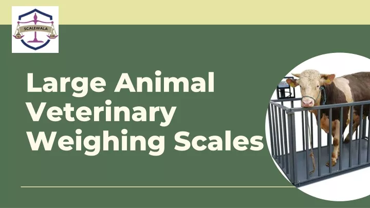 large animal veterinary weighing scales