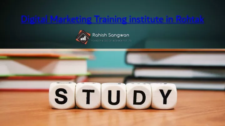 digital marketing training institute in rohtak