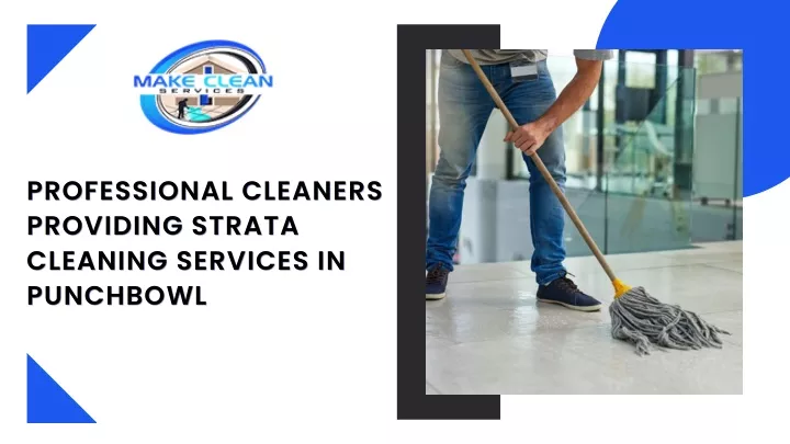 professional cleaners professional cleaners