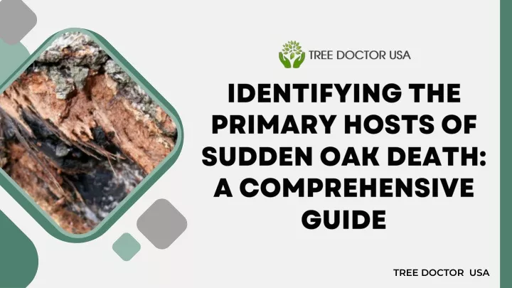 identifying the primary hosts of sudden oak death