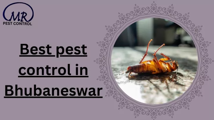 pest control