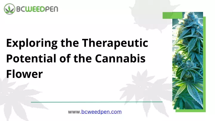 exploring the therapeutic potential