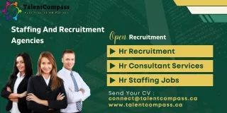 Staffing And Recruitment Agencies