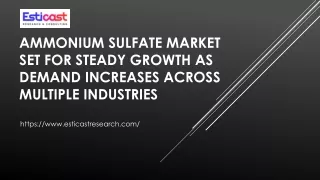 Ammonium Sulfate Market Report