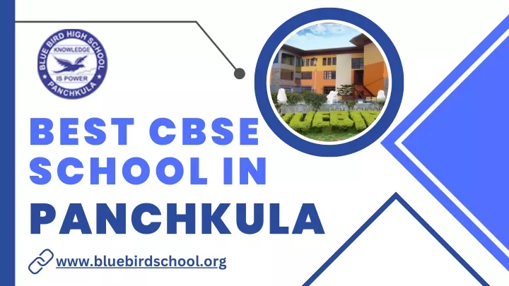 best cbse school in panchkula www bluebirdschool