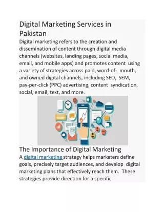 Digital Marketing Services in Pakistan (1)