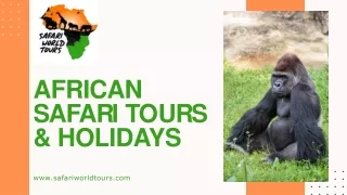 AFRICAN SAFARI TOURS & HOLIDAYS