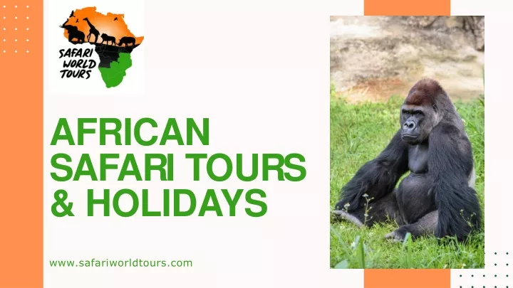 african s a f a r i t o u r s holidays