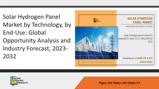 Global Solar Hydrogen Panel Market PPT