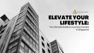 Elevate Your Lifestyle
