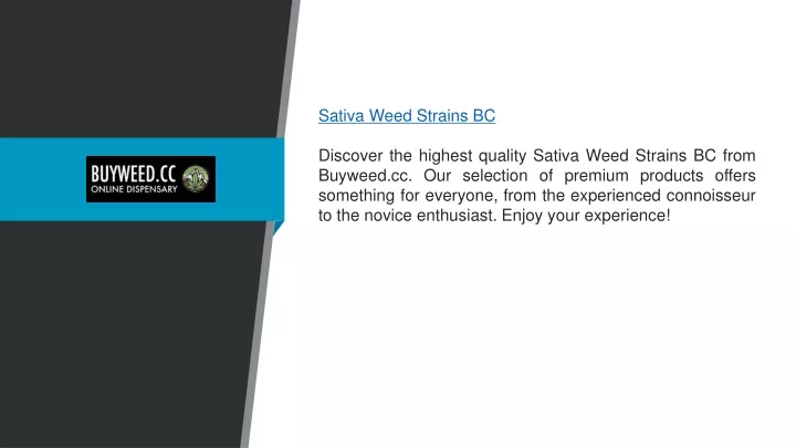 sativa weed strains bc discover the highest