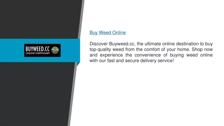 buy weed online discover buyweed cc the ultimate