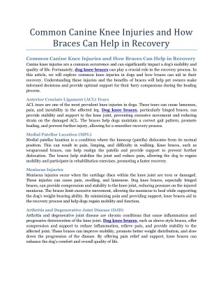 common canine knee injuries and how braces