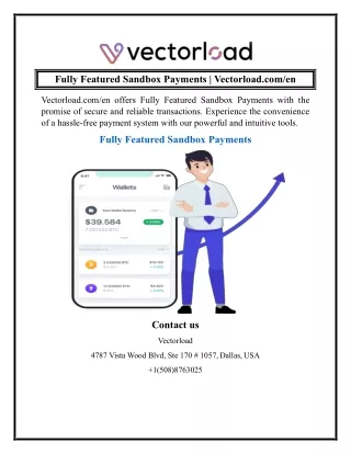 Fully Featured Sandbox Payments  Vectorload.com en