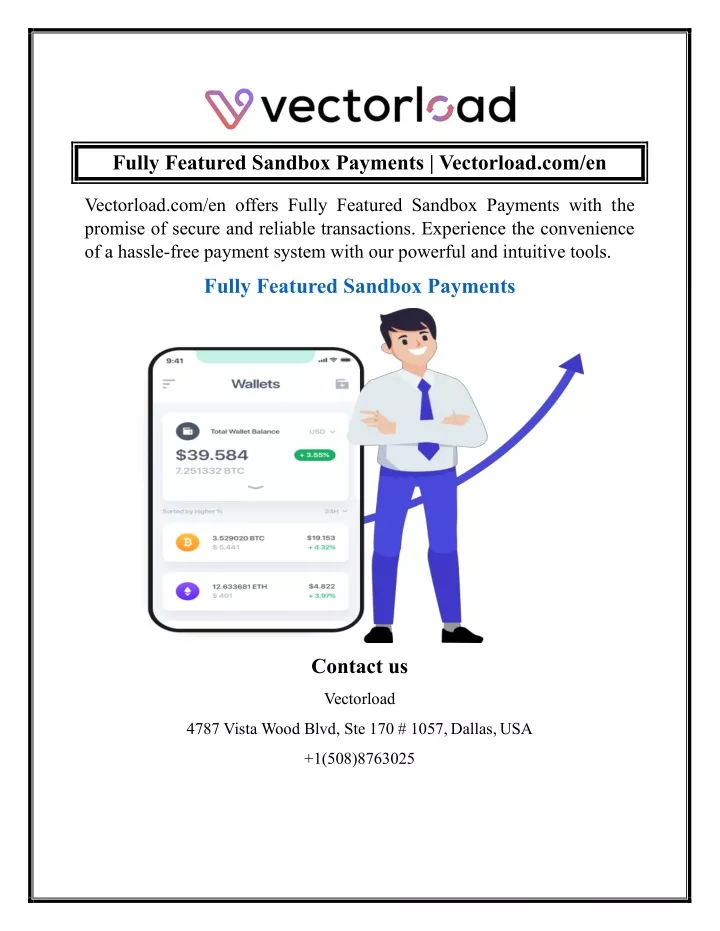 fully featured sandbox payments vectorload com en