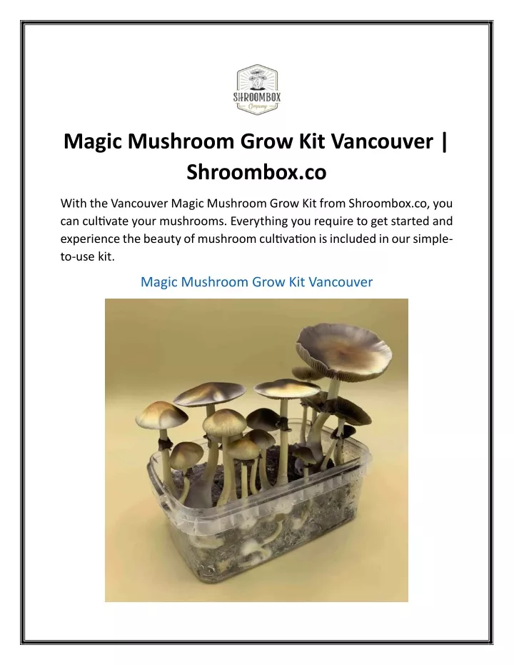 magic mushroom grow kit vancouver shroombox co