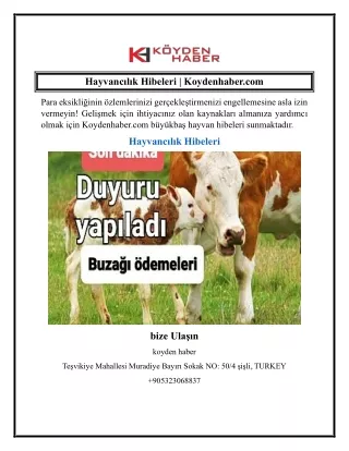 Hayvancılık Hibeleri  Koydenhaber.com