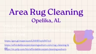 Area Rug Cleaning Services Opelika, AL