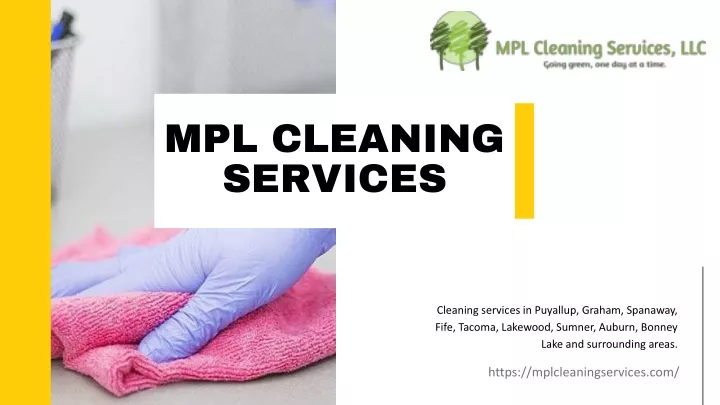 mpl cleaning services