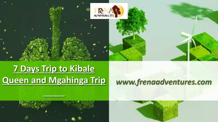 7 days trip to kibale queen and mgahinga trip