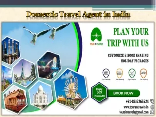 Domestic Travel Agent in India