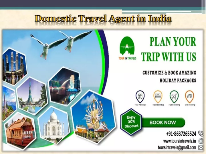 domestic travel agent in india