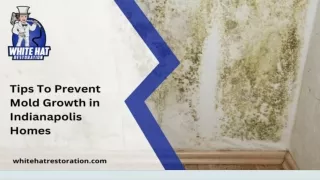 Tips To Prevent Mold Growth in Indianapolis Homes