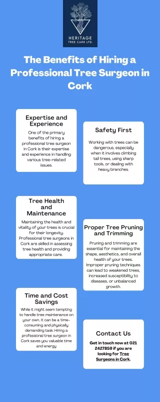 The Benefits of Hiring a Professional Tree Surgeon in Cork