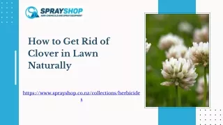 How to Get Rid of Clover in Lawn Naturally