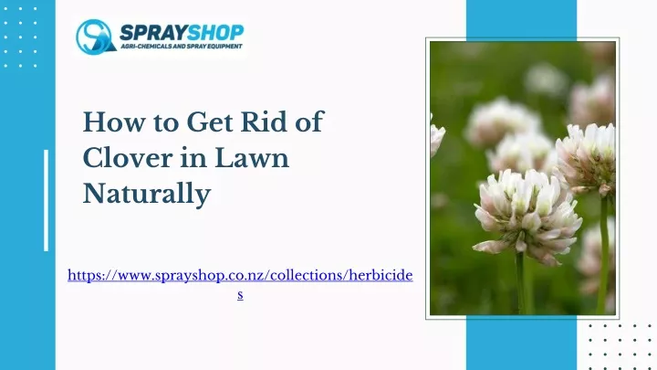 how to get rid of clover in lawn naturally