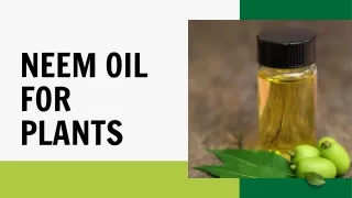 The Power Of Neem Oil: Boost Plant Immunity