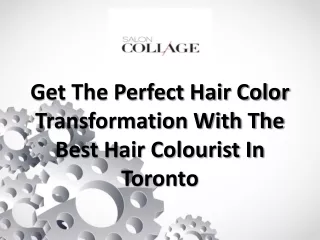 Enhance Your Style With Expert And Vibrant Hair Colourist In Toronto