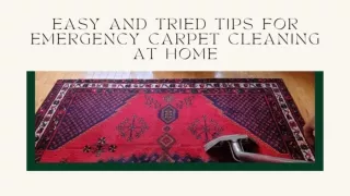 Easy and Tried Tips for Emergency Carpet Cleaning at Home